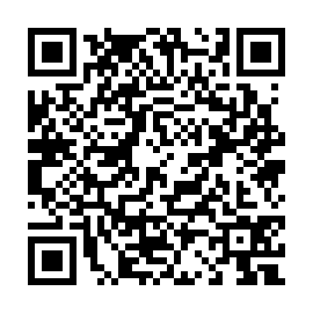 QR code for T213347