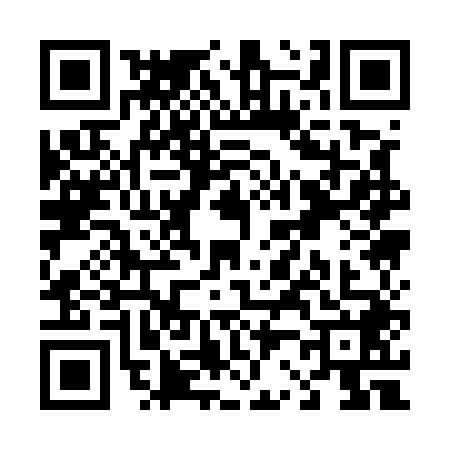 QR code for T215481