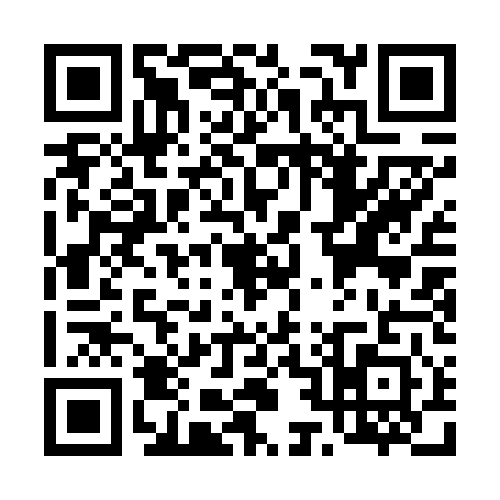 QR code for T216413