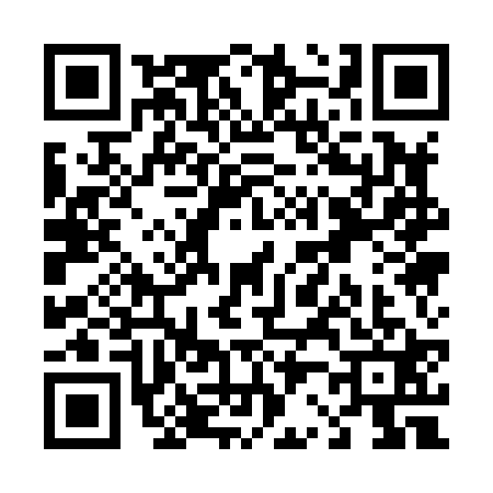 QR code for T218217