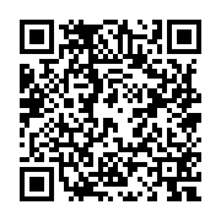QR code for T219526