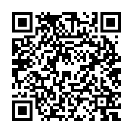 QR code for T222237