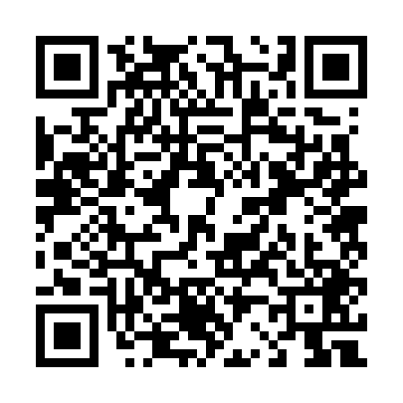 QR code for T227494