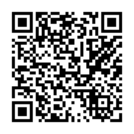 QR code for T22812