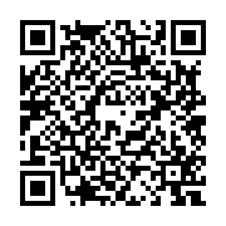 QR code for T228177