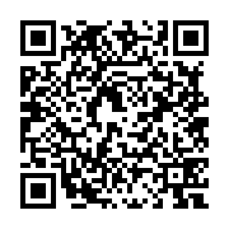 QR code for T228793
