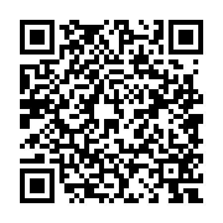 QR code for T243564