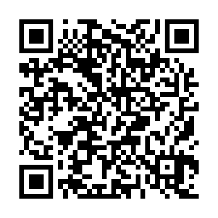 QR code for T29124