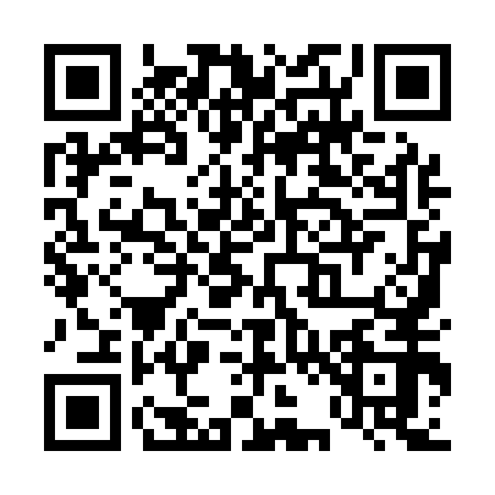 QR code for T291528