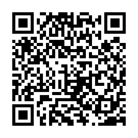QR code for T29511
