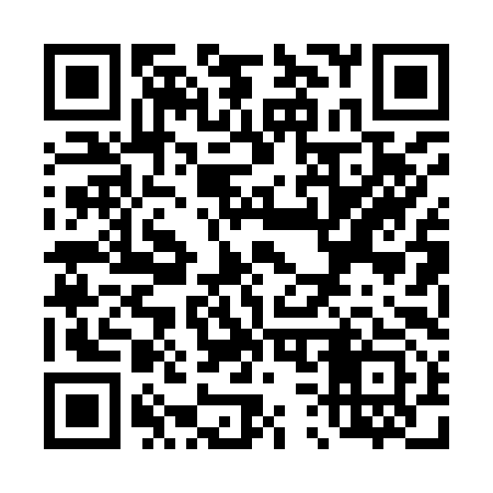 QR code for T30993