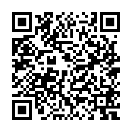 QR code for T311486