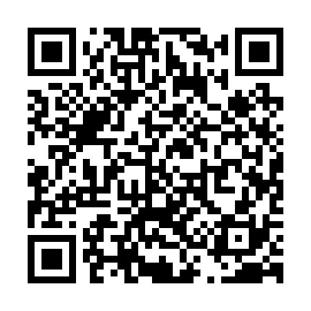 QR code for T31230