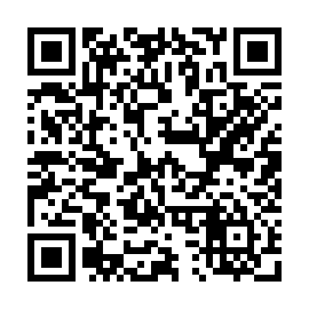 QR code for T31335