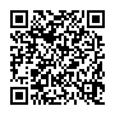 QR code for T31387