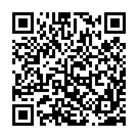 QR code for T31496