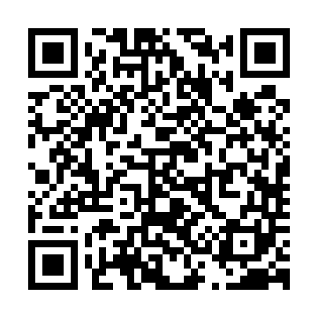 QR code for T32541