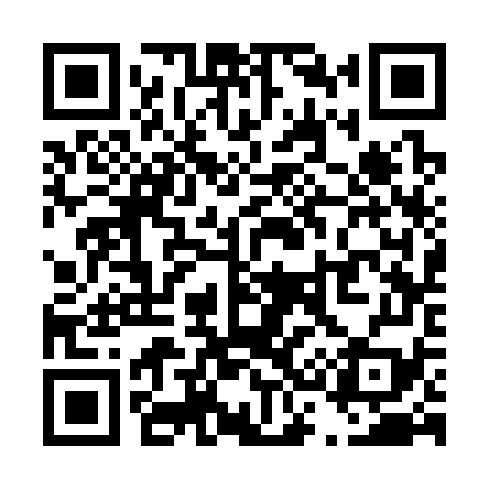 QR code for T33379