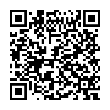 QR code for T33514