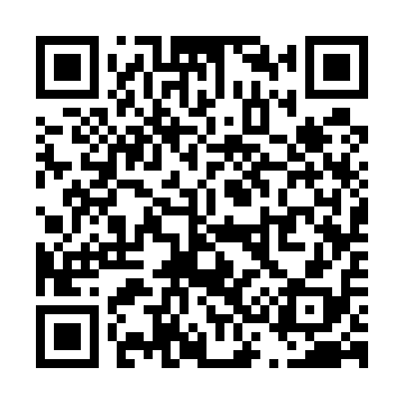 QR code for T33518