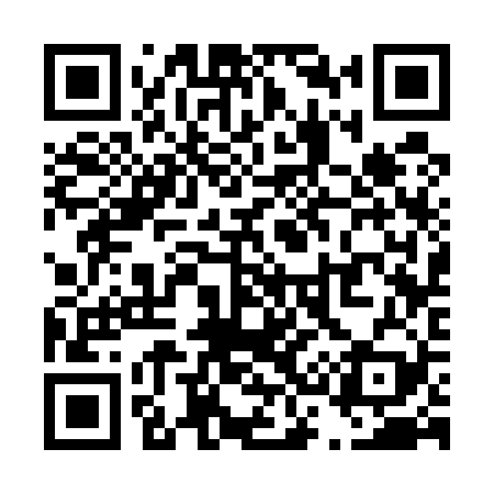 QR code for T33529