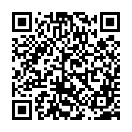 QR code for T33546