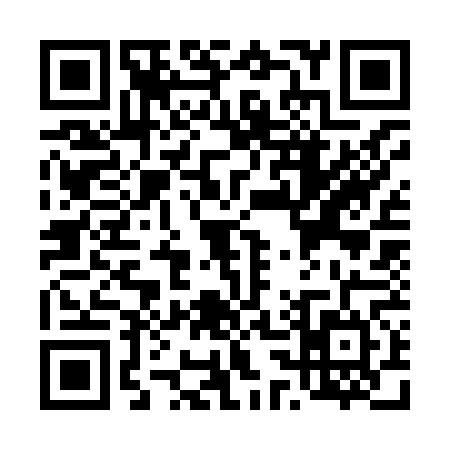 QR code for T338646