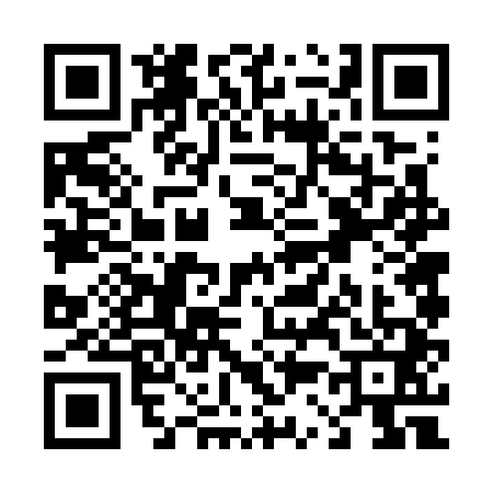 QR code for T367411