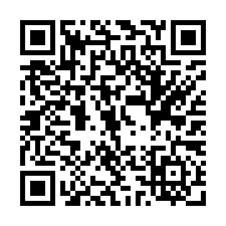QR code for T369941