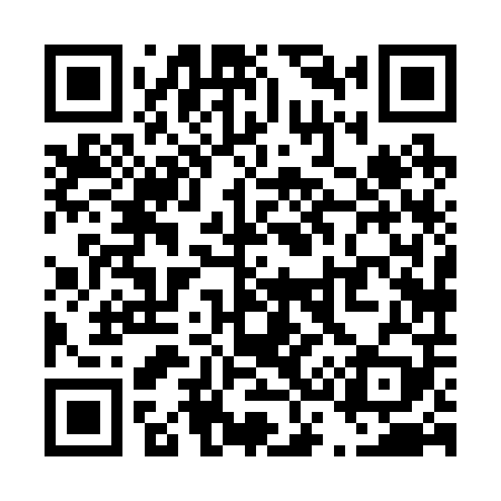 QR code for T38209