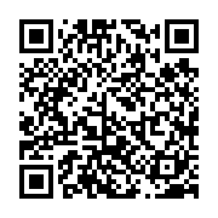 QR code for T38621