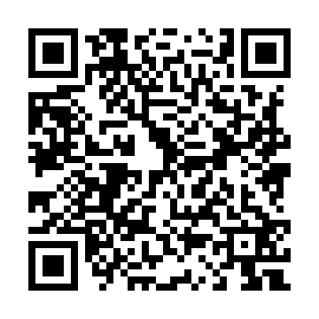 QR code for T389221