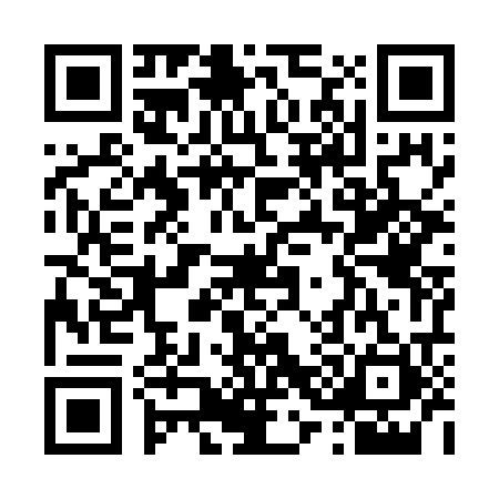 QR code for T397213