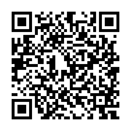 QR code for T401867