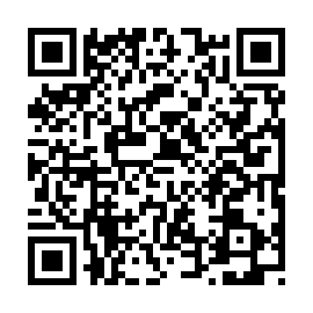 QR code for T419234