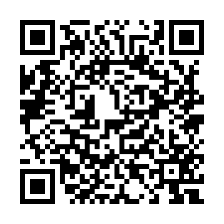 QR code for T419572