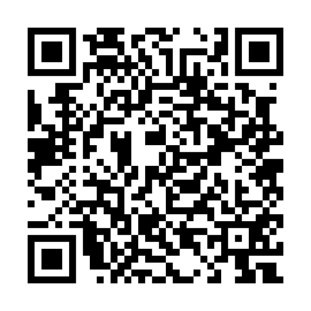 QR code for T420511