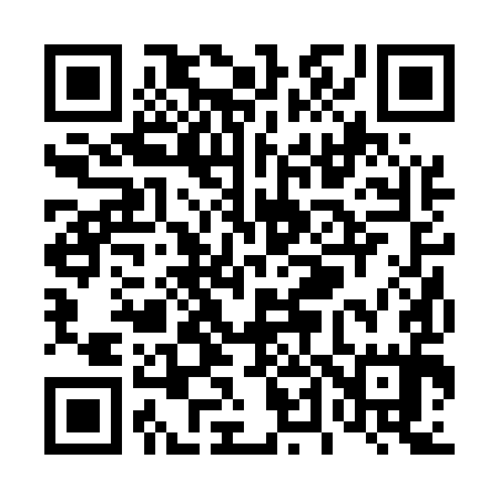 QR code for T42595