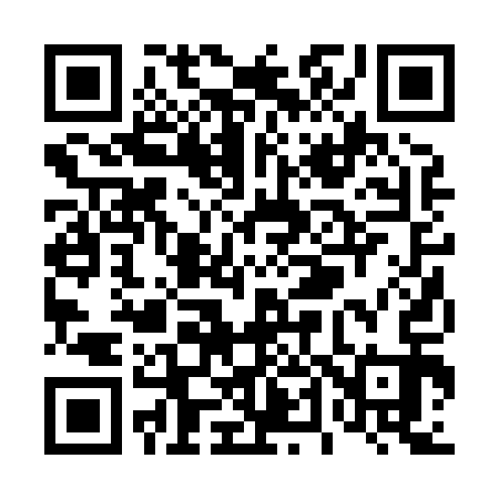 QR code for T42813