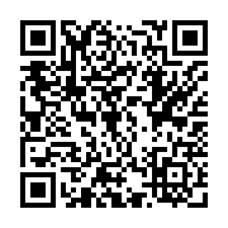 QR code for T438222