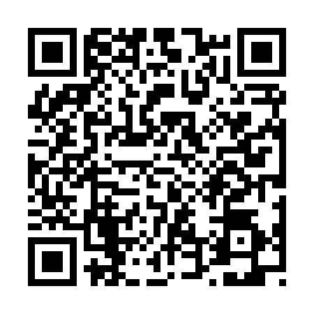 QR code for T448341