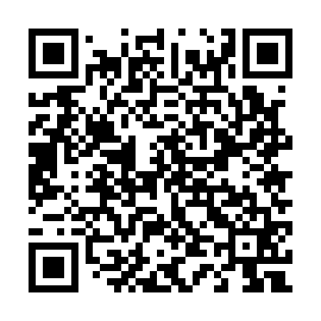 QR code for T45161