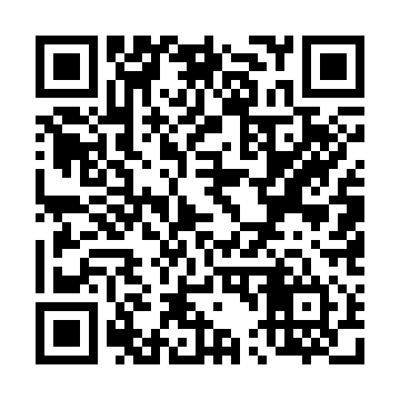 QR code for T45314