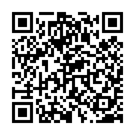 QR code for T46498
