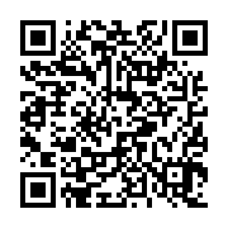 QR code for T46507