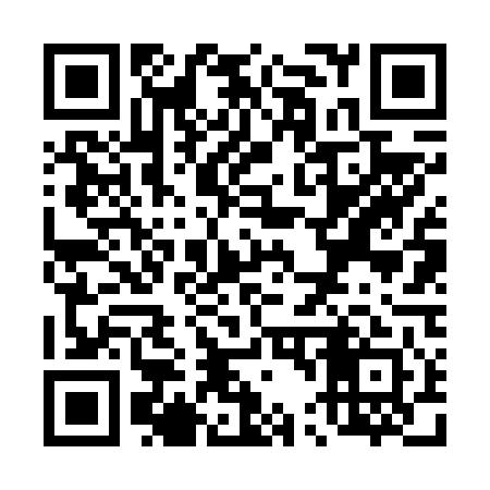 QR code for T46641