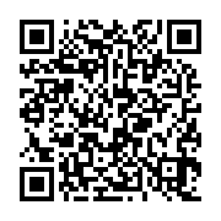 QR code for T46933