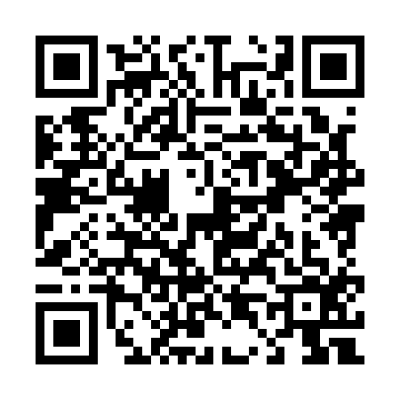 QR code for T481163