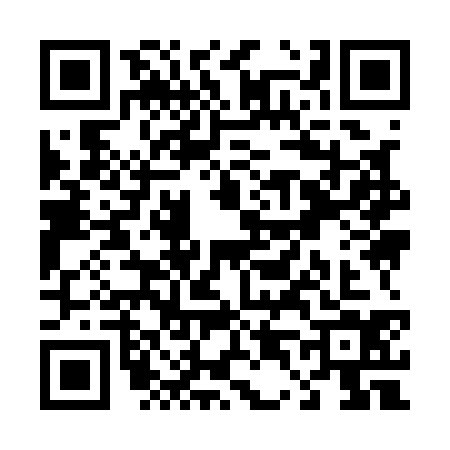 QR code for T491348