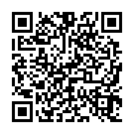 QR code for T493020